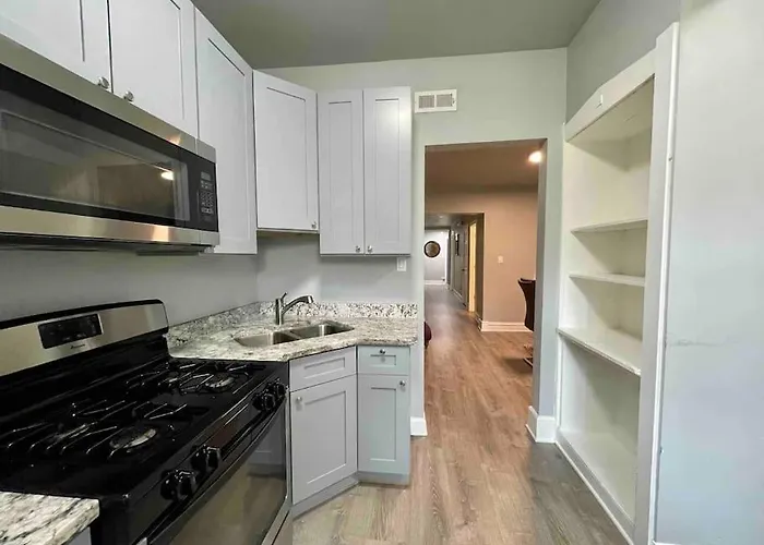 Cozy Luxury Apt~ Near Uchicago/hydepark/lakeshore Apartment Chicago