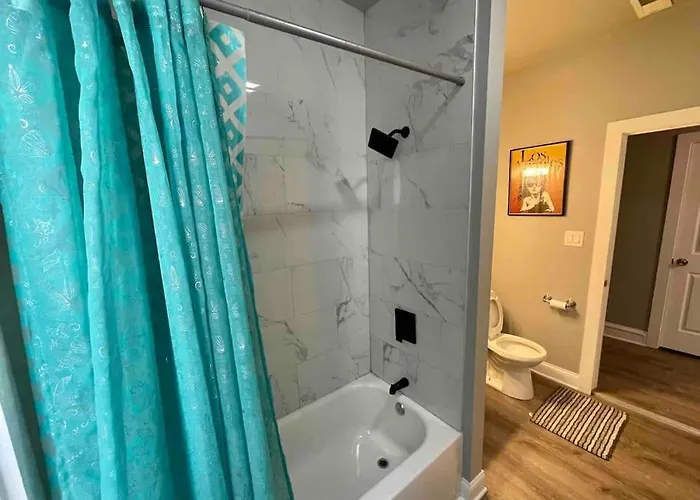 Apartment Cozy Luxury Apt~ Near Uchicago/hydepark/lakeshore *